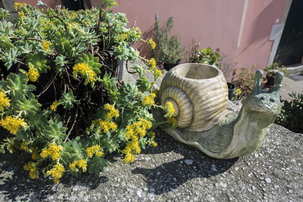 Lala Cottage Áno Korakiána Dış mekan fotoğraf